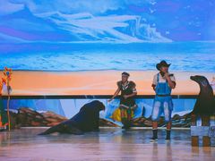 -三亚海昌梦幻海洋不夜城