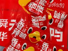 -郴州特产舜华临武鸭(郴州西站店)