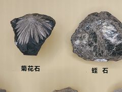 -湖南省地质博物馆