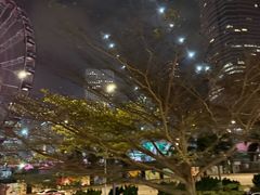 -中环4号渡轮码头