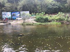 -雾灵西峰