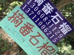 -竹泉农庄·竹筒饭(从化店)