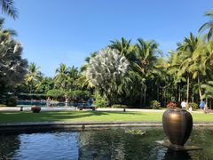 -三亚湾海居铂尔曼度假酒店