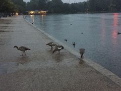 -海德公园