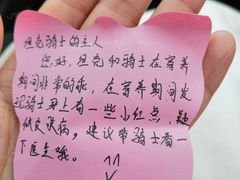 -汪说喵讲宠物乐园宠物酒店(红星美凯龙店)