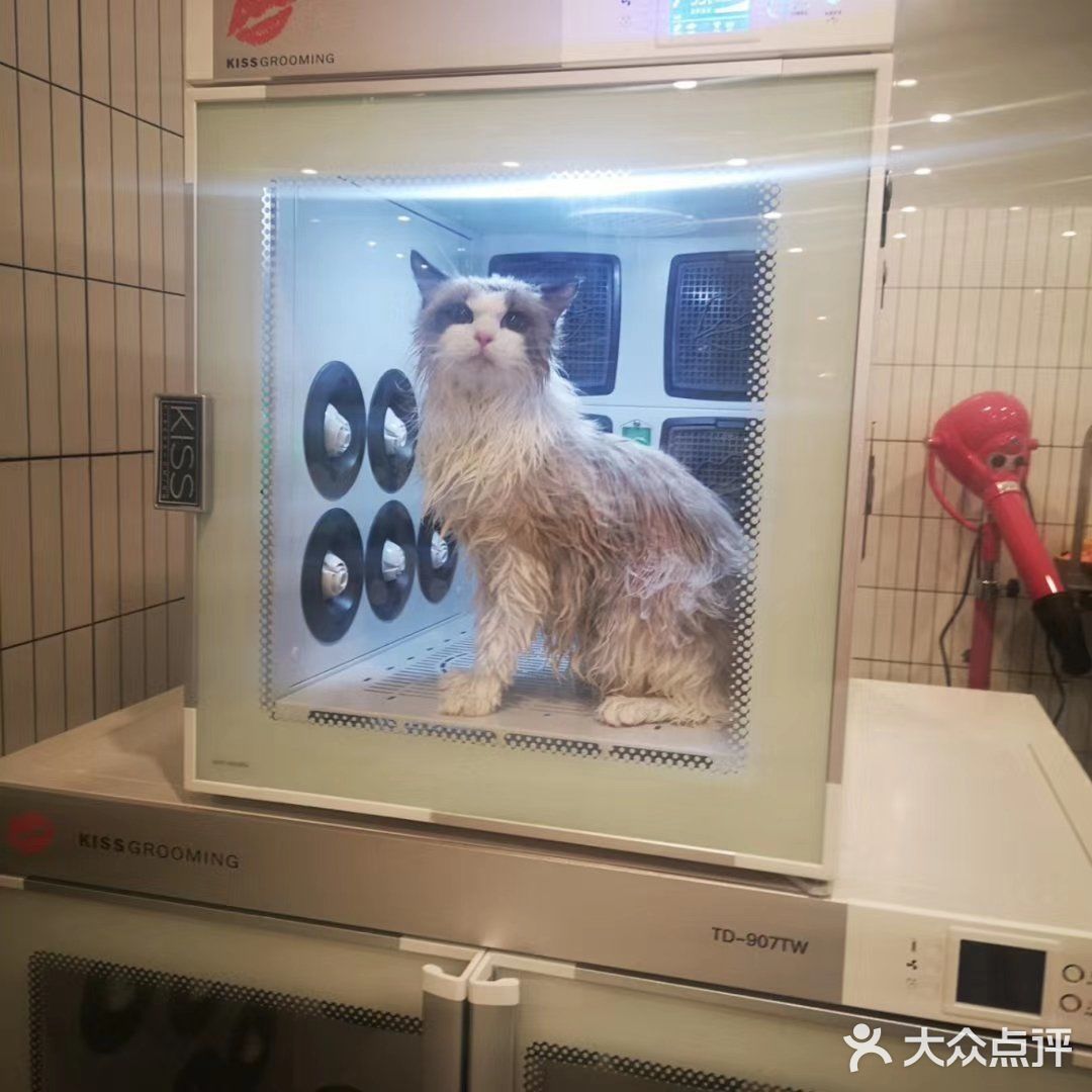 洗完澡，又美美哒