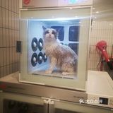 洗完澡，又美美哒