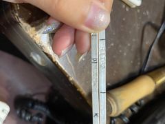 -十八字金·银饰·拼豆·开蚌DIY(魏公芳华里店)