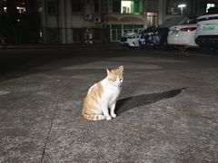 -颓记茶餐厅(美景总店)