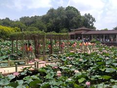 -广州莲花山旅游区