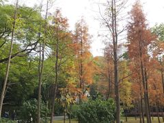 -晓港公园
