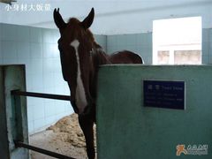 -松声马术俱乐部