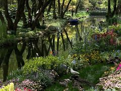 -上海共青森林公园