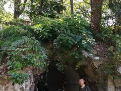 -叶家花园