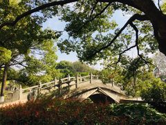 -太子山公园(园东路)