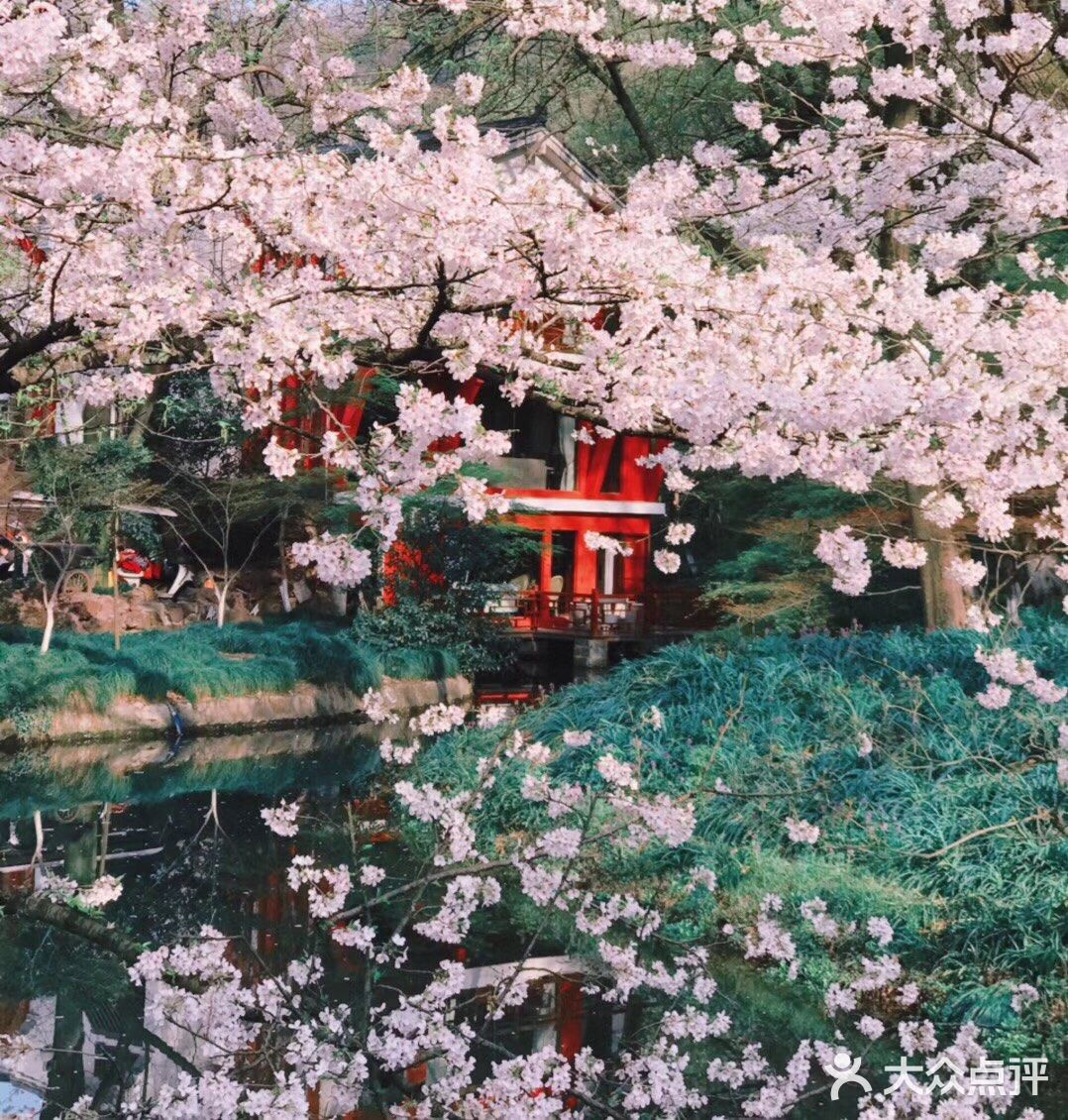 过时不候,春光无限