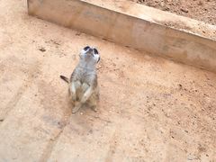 -石家庄市动物园