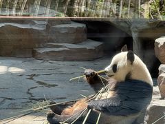 -宁波野生动物园