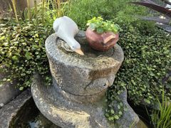 -川旺角融合菜•海景餐厅(星海广场店)