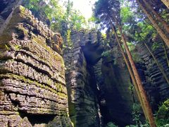-梭布垭石林景区