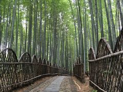 -宝岩生态观光园