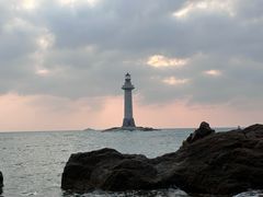 -小海豚•老字号海鲜餐厅(天涯店)