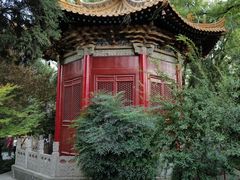 -西安碑林博物馆
