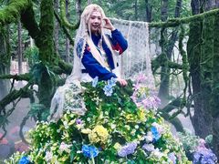 -洛阳白云山景区