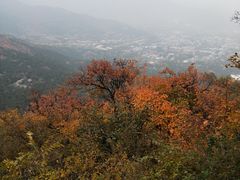 -北京鹫峰国家森林公园