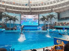 -海合安成都极地海洋公园