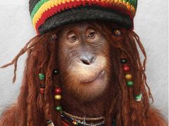 -星美国际影商城(虹口店)