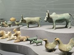 -广西壮族自治区博物馆