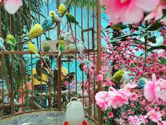 -长春中泰海洋世界