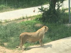 -西安秦岭野生动物园