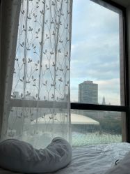 -海豚湾高端月子会所(黄浦店)