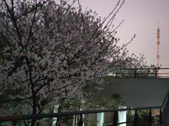 -仓桥家·焗寿司·锅物(光谷步行街店)