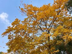 -东钱湖旅游度假区