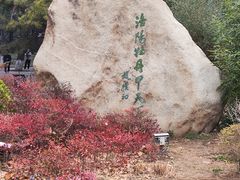 -西苑公园