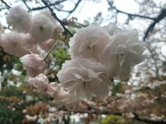 -钱塘江大桥