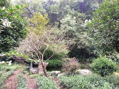 -杭州西湖风景名胜区-三生石