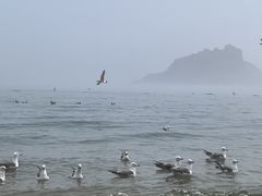 -棒棰岛宾馆景区