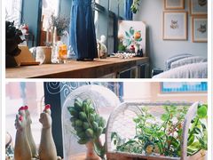 -吉丁鸟咖·异宠·寄养