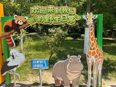 -合肥野生动物园