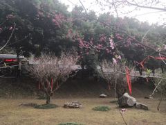 -灵光寺