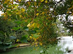 -白塘生态植物园