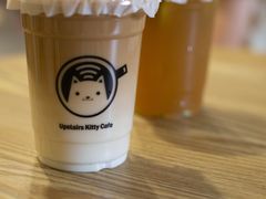 -楼上猫咖(罗湖店)