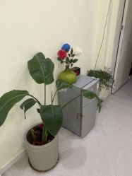 -斐尔国际皮肤管理中心