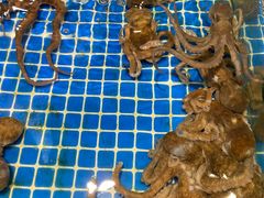 -三亚火车头万人海鲜广场