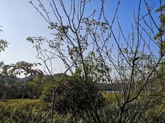 -清远熹乐谷温泉度假酒店