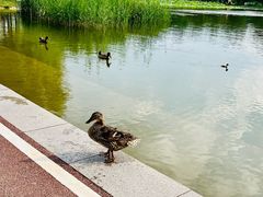 -太阳宫公园